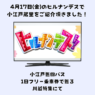 日本テレビ系列「ヒルナンデス」でご紹介頂きました