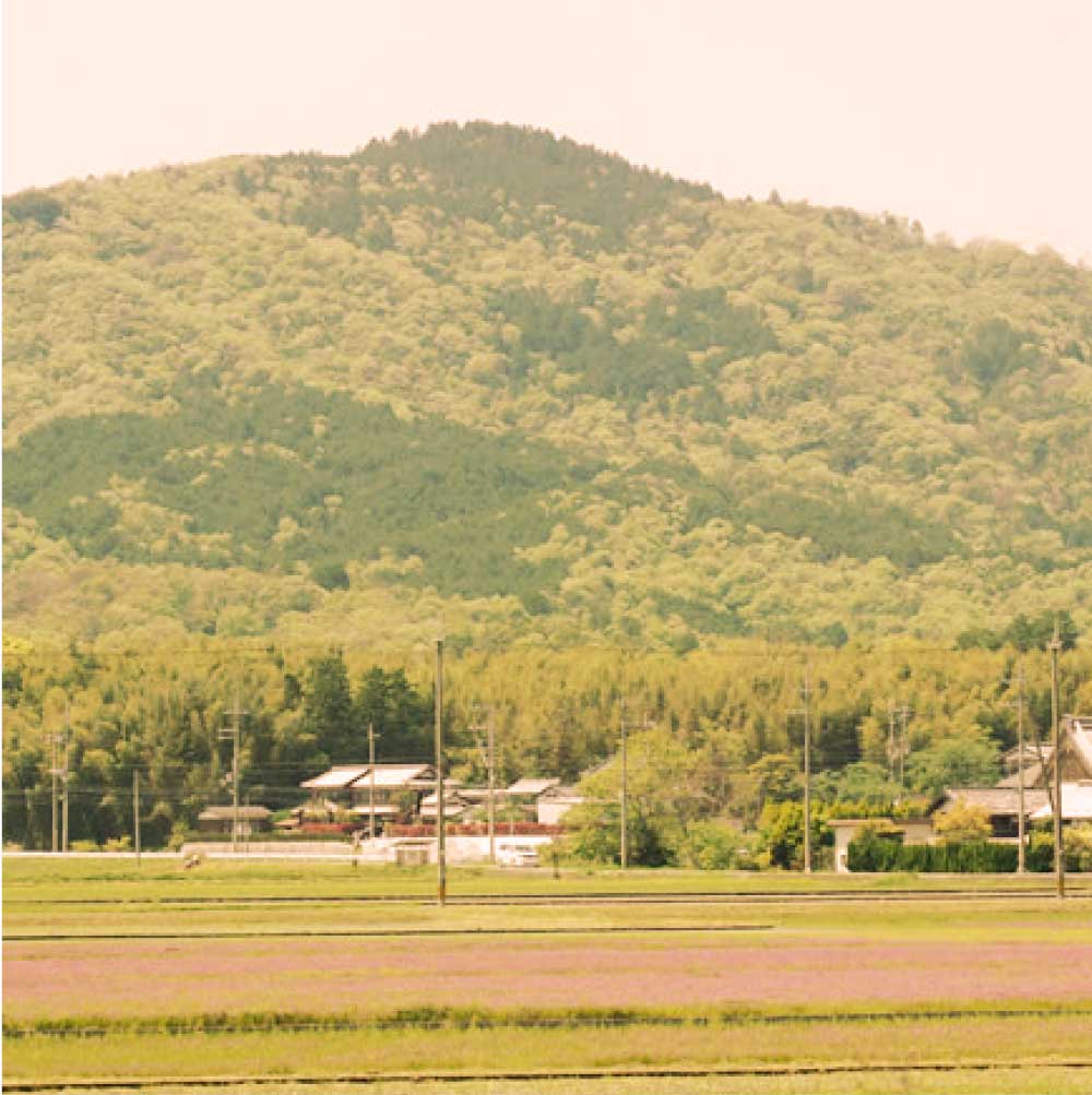 The Origin of Mt. Kagami